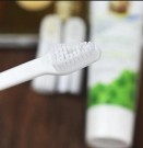 tannkrem og tannbørste rengjøring drakt for hunder thumbnail